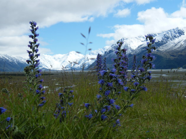 zicht op Mount Cook