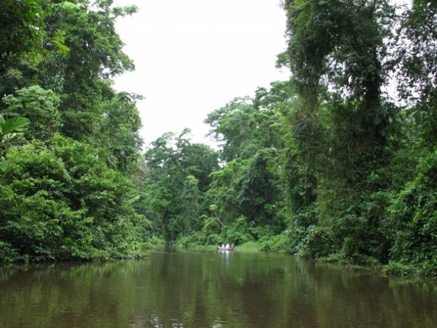 La Geest-Tortuguero