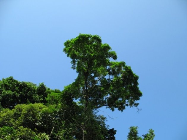 La Geest-Tortuguero