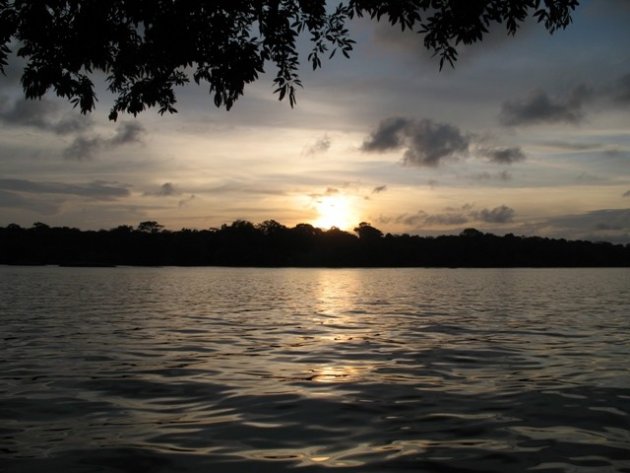 Tortuguero