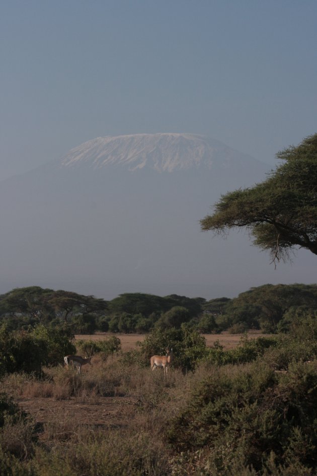 Mt Kilimanjaro