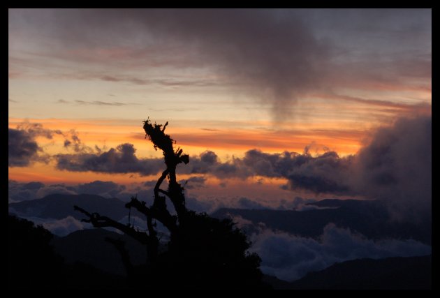 Paraiso del Quetzales