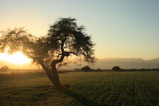 Zonsondergang