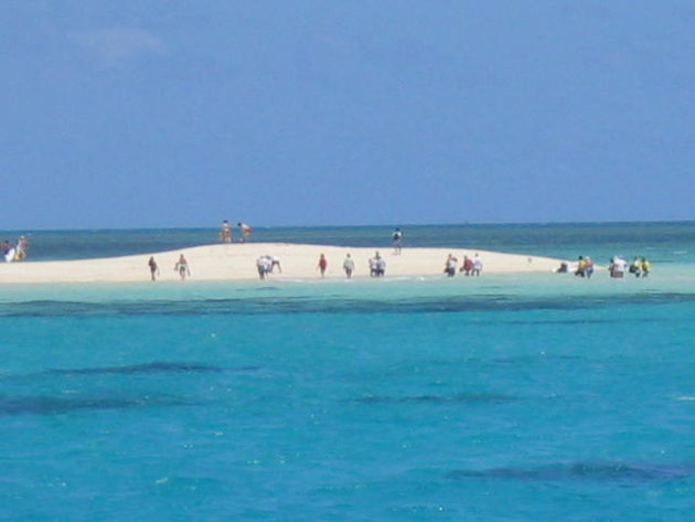 great barrier reef