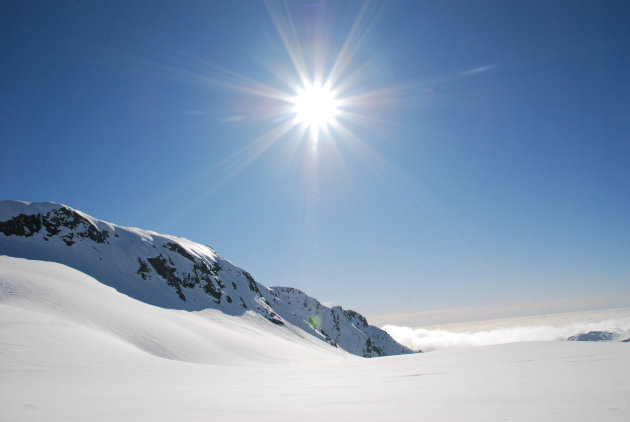 Fox Glacier