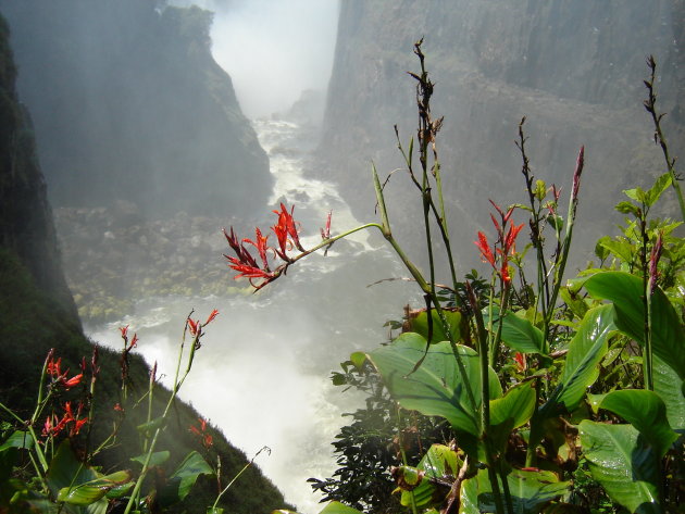 Victoria Falls