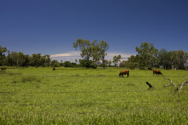 Langs de Pacific Highway