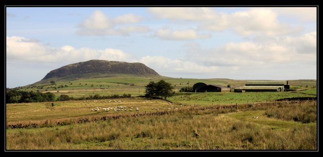 sheepfarms