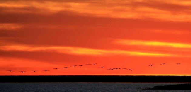 Botswana sunset