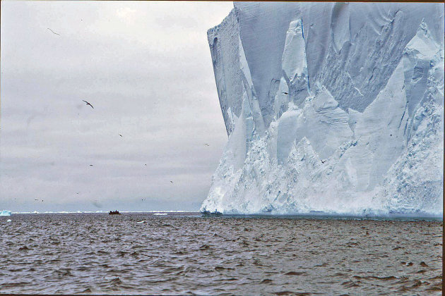 Met de zodiacs op zee