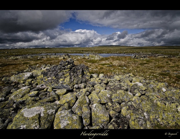 Nordic Wilderness