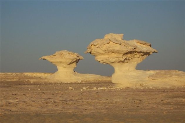 Mushroom Rocks