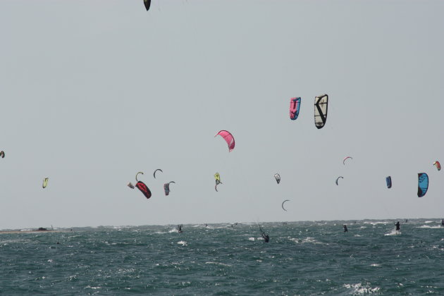 Windsurfers