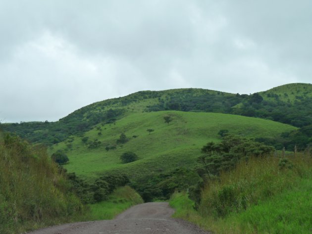 groene heuvels