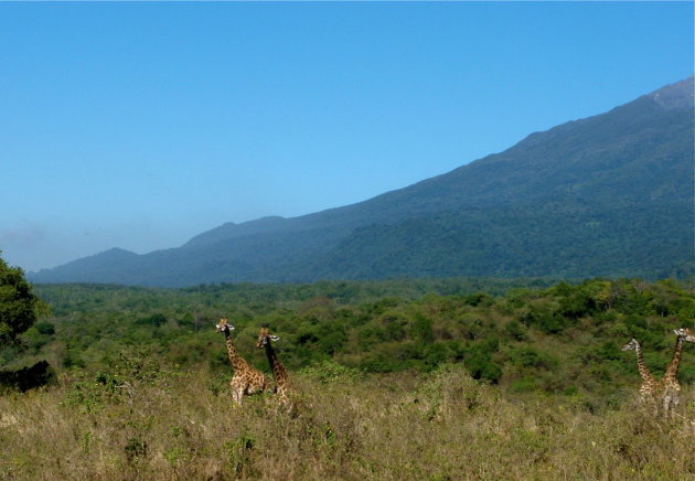 wandelsafari