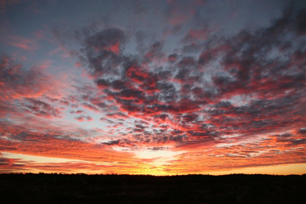 Sunset near Uluru