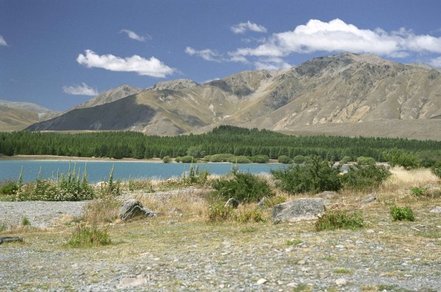 Lake Tekapo