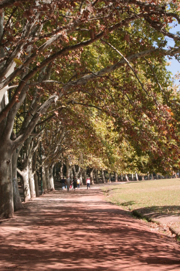 Herfst in Argentinië