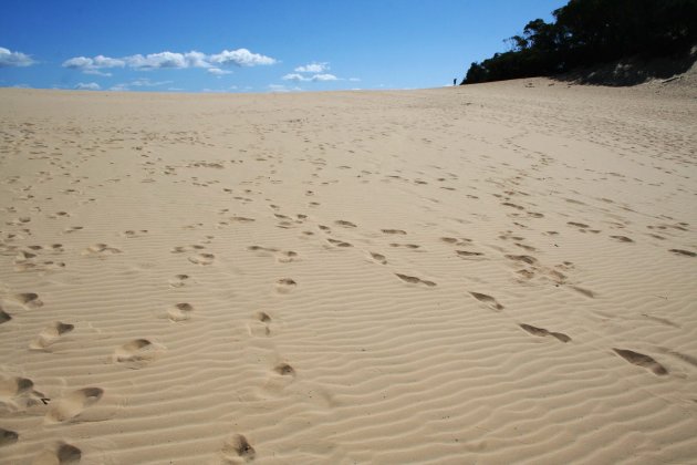 Zandduinen bij Rainbowbeach