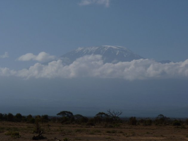 kilimanjaro 