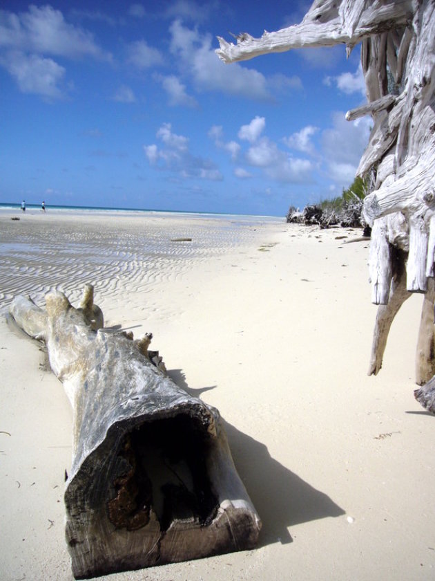 Strand Grand Bahama Island