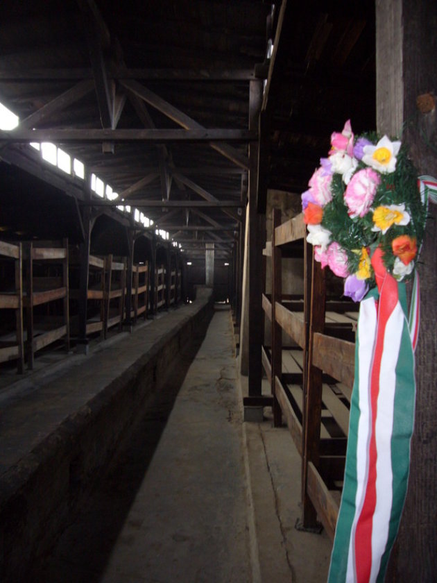 Auswitz Birkenau