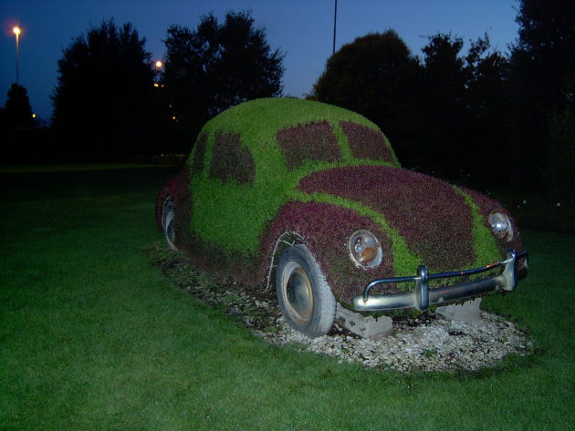 versnellingsbak,roestbak..plantenbak?