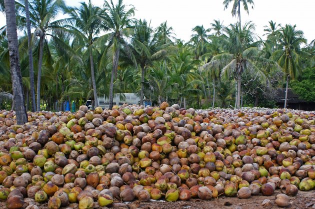 Coconut Pile