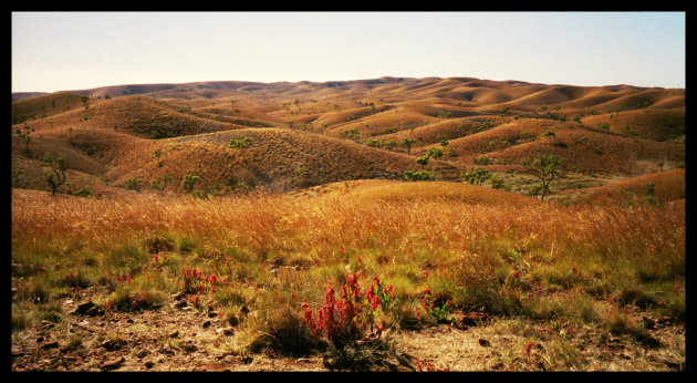 West MacDonaldranges