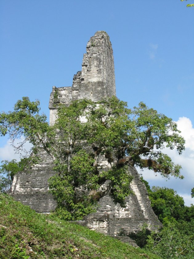 Tikal