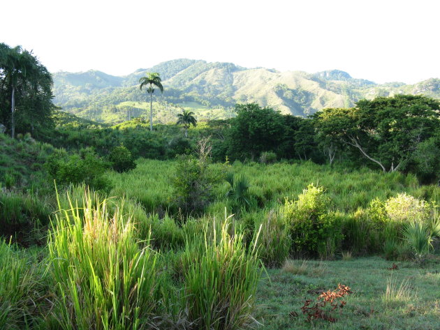 Lanschap nabij Bahia de Mamon