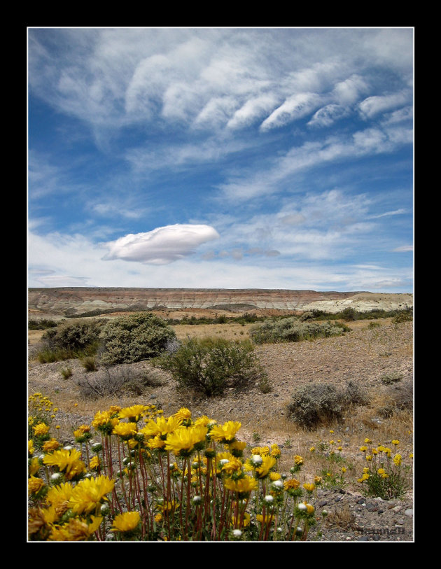 Patagonische wolkenlucht