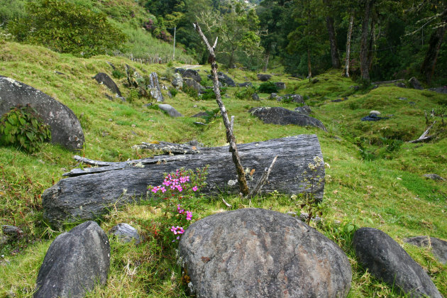 Costaricaanse hooglanden