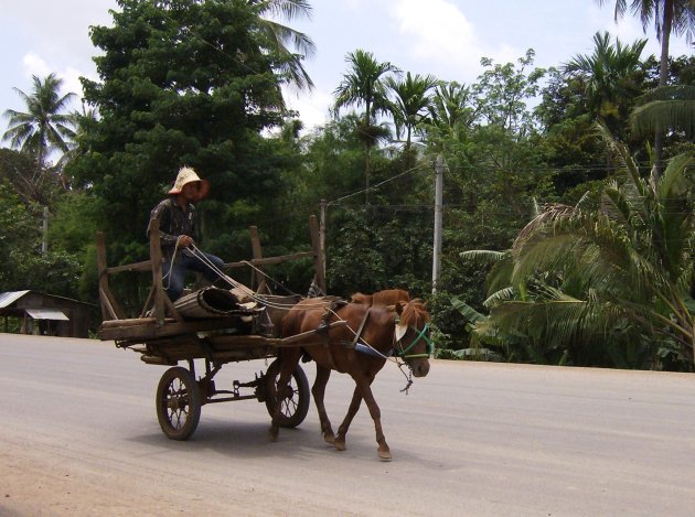 lokaal transport