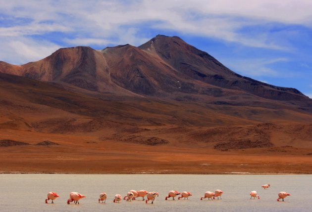 Uyuni lakes