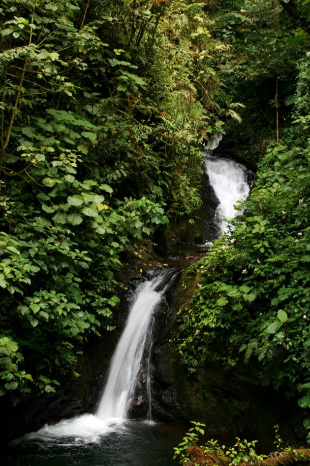 Chasing waterfalls at Monteverde