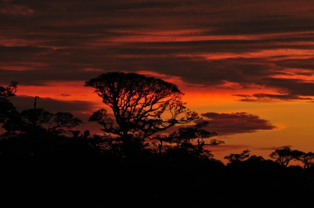 Zonsondergang Monteverde (2)