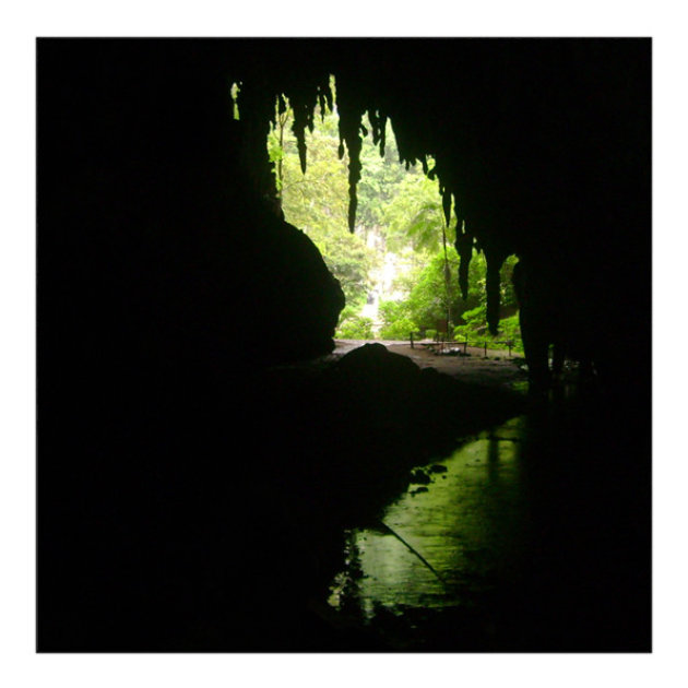 Cueva del Guacharo