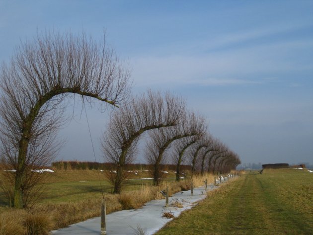 Noorddijk natuurgebied