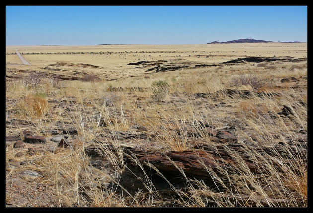 Namib