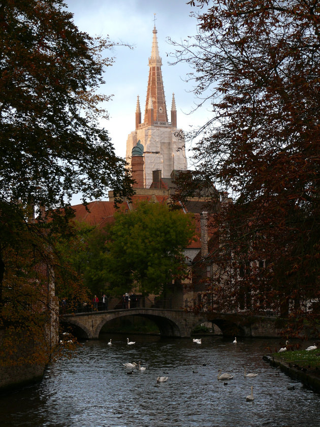 Herfst in Brugge