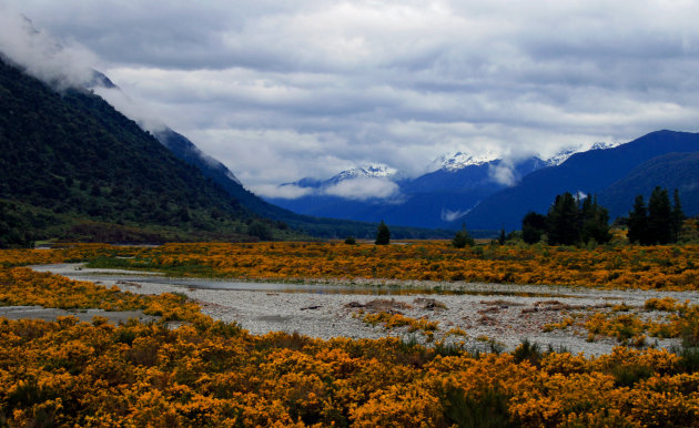 Uitzicht TranzAlpine Express