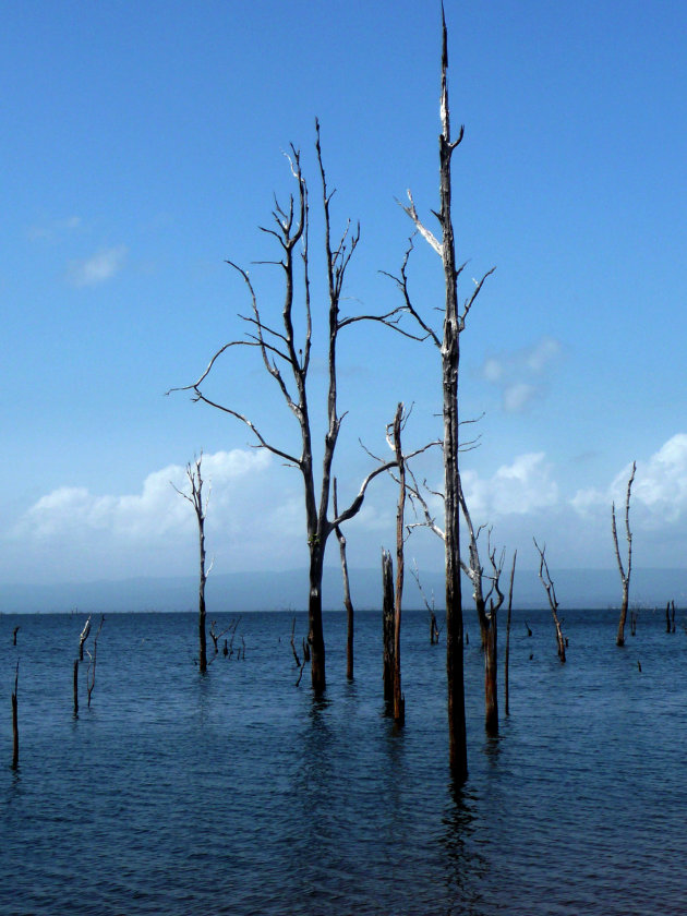 Brokopondo spook-meer