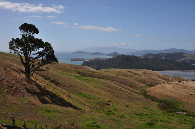 Coromandel 