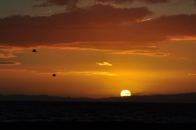 Coromandel Sunset