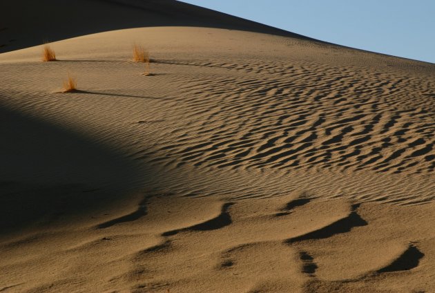 Sand waves