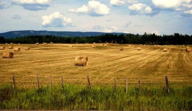 Skeena Valley