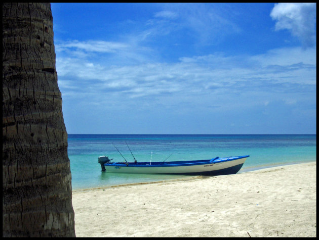 Strand Roatan 