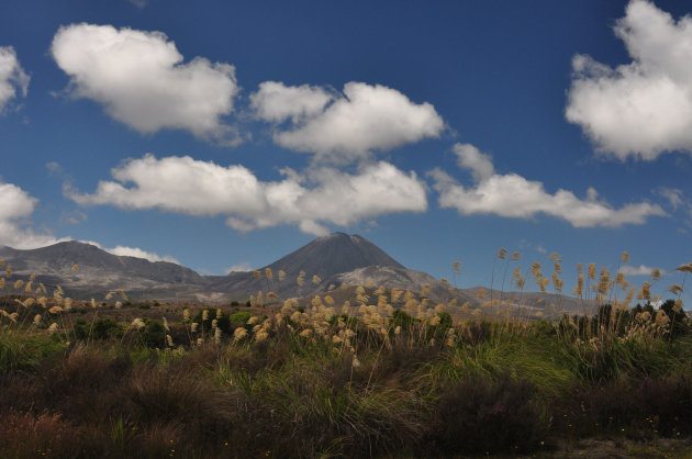 Ngauruhoe Vulkaan