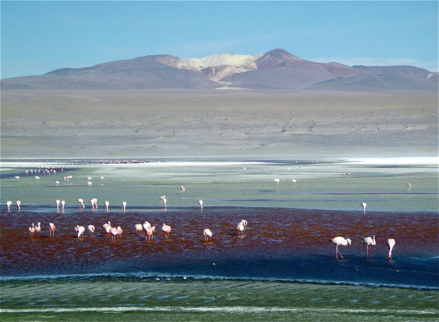 Laguna Colorado